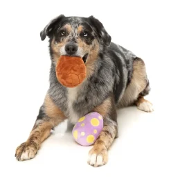 FuzzYard Easter Egg 2PK - Dog Toy