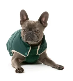 FuzzYard Essential Puffer Jacket - Forest Green