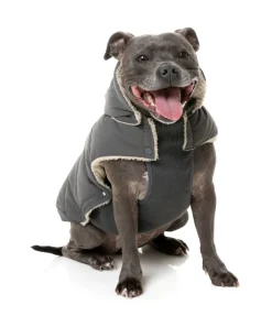 FuzzYard Essential Puffer Jacket - Charcoal