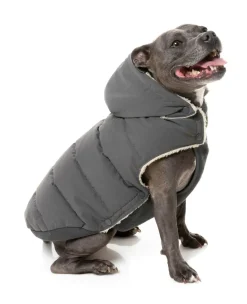 FuzzYard Essential Puffer Jacket - Charcoal