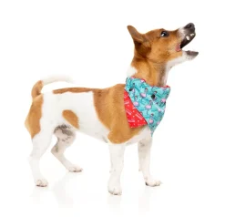 FuzzYard Fa La La La Mingo Bandana