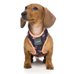FuzzYard Fabmingo Dog Harness