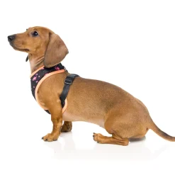 FuzzYard Fabmingo Dog Harness