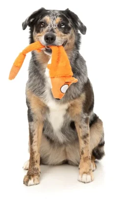 FuzzYard Farewell Fox - The Yeetz - Dog Toy