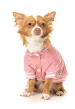 FuzzYard Fastball Jacket - Pink