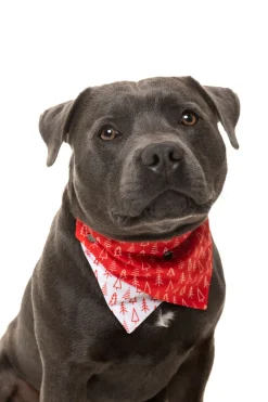 FuzzYard Festive Trees Bandana