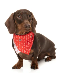 FuzzYard Festive Trees Bandana