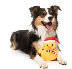 FuzzYard Festive Waddles - Dog Toy