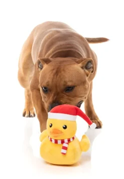 FuzzYard Festive Waddles - Dog Toy