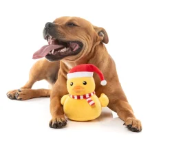 FuzzYard Festive Waddles - Dog Toy