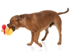 FuzzYard Festive Waddles - Dog Toy