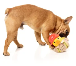 FuzzYard Firequacker - Dog Toy