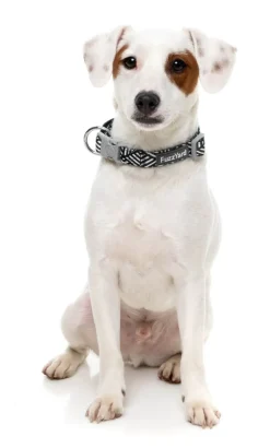 FuzzYard Fitzroy - Dog Collar