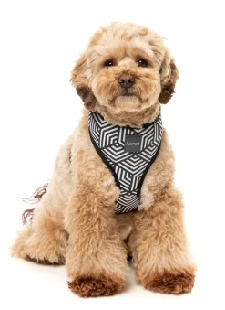 FuzzYard Fitzroy - Dog Harness