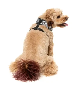 FuzzYard Fitzroy - Dog Harness