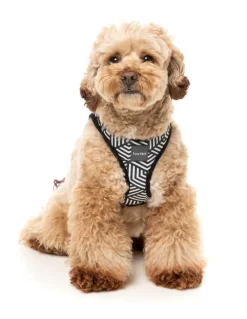 FuzzYard Fitzroy - Dog Step In Harness