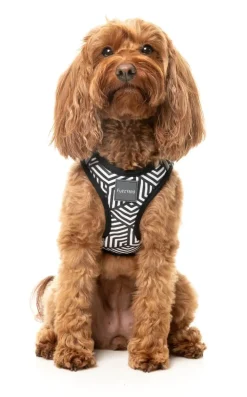 FuzzYard Fitzroy - Dog Step In Harness