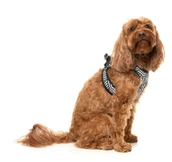 FuzzYard Fitzroy - Dog Step In Harness