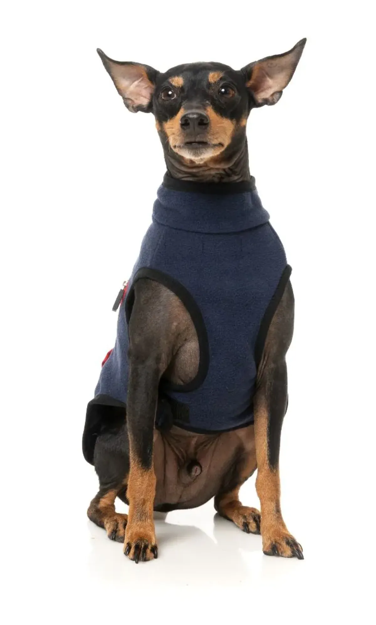 FuzzYard Fitzroy Jacket - Navy