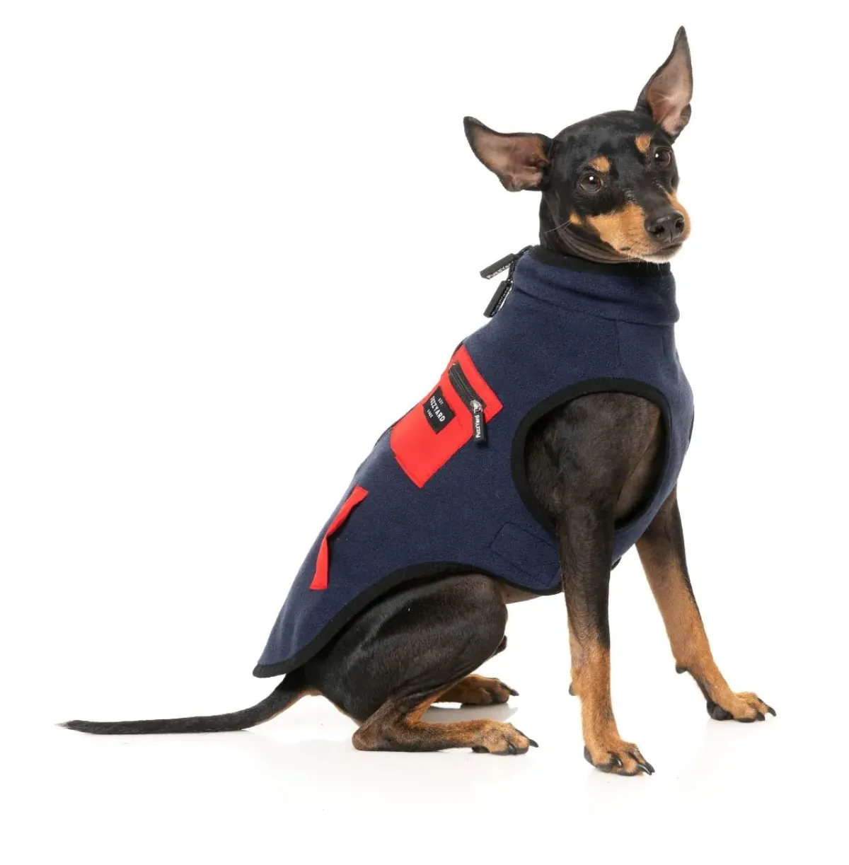 FuzzYard Fitzroy Jacket - Navy