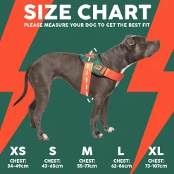 FuzzYard Flash Harness - Blackout