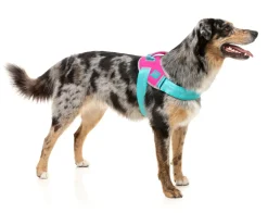 FuzzYard Flash Harness - Bubblegum