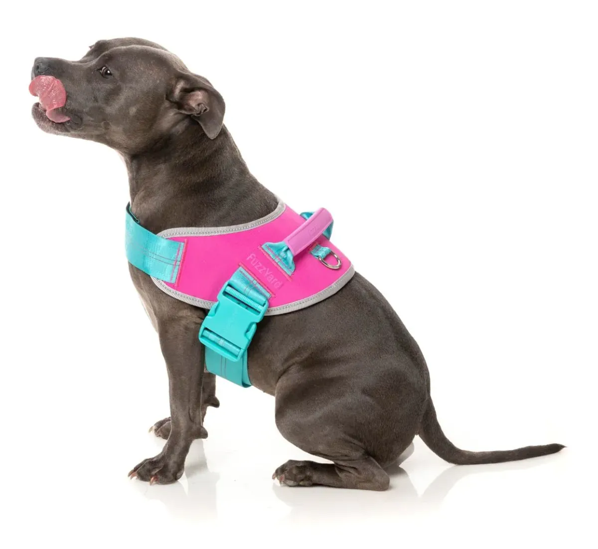 FuzzYard Flash Harness - Bubblegum