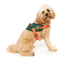 FuzzYard Flash Harness - Commando