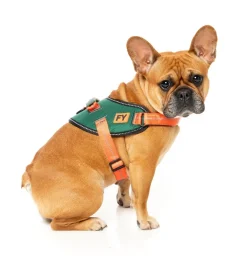 FuzzYard Flash Harness - Commando