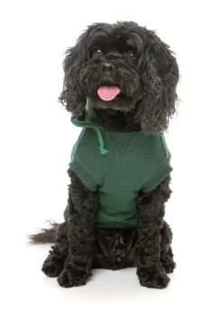 FuzzYard Flash Hoodie - Green