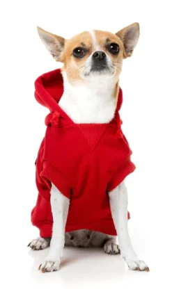 FuzzYard Flash Hoodie - Red