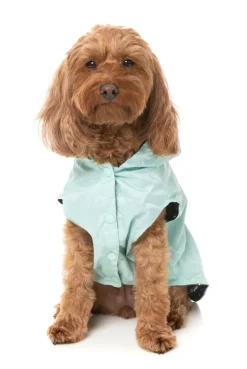 FuzzYard Flipside 24 Raincoat - Mint