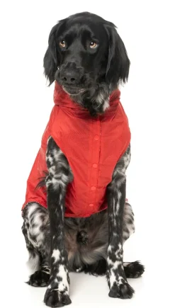 FuzzYard Flipside Raincoat - Red/Black/White