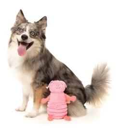 FuzzYard Flutter The Bed Bug (Pink) - Dog Toy