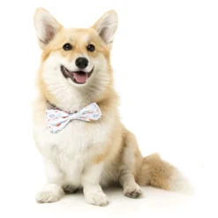 FuzzYard Flying High Pet Bow Tie