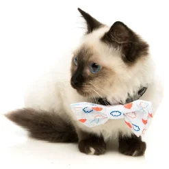 FuzzYard Flying High Pet Bow Tie