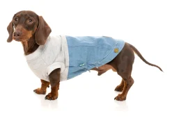 FuzzYard Flynn Sweater