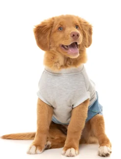 FuzzYard Flynn Sweater