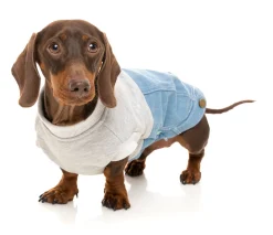 FuzzYard Flynn Sweater