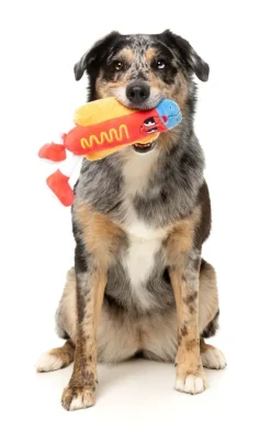 FuzzYard Franky - The Homies - Dog Toy