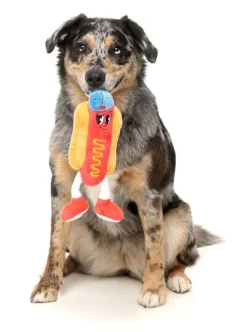FuzzYard Franky - The Homies - Dog Toy