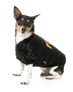 FuzzYard Frat Jacket - Black