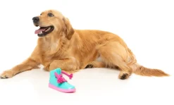 FuzzYard Fresh Kicks 'N' Licks - Interactive Chew Toy