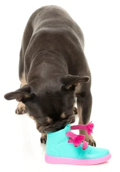 FuzzYard Fresh Kicks 'N' Licks - Interactive Chew Toy