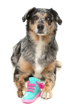 FuzzYard Fresh Kicks 'N' Licks - Interactive Chew Toy