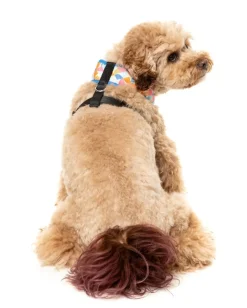 FuzzYard Fresh Zest - Dog Harness