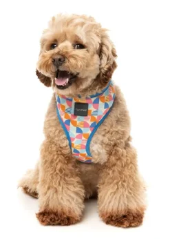 FuzzYard Fresh Zest - Dog Harness