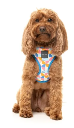 FuzzYard Fresh Zest - Dog Harness