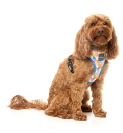 FuzzYard Fresh Zest - Dog Harness
