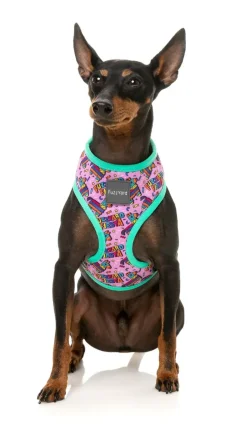 FuzzYard Fiesta - Harness